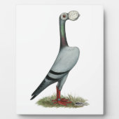 伝書鳩2012 フォトプラーク (正面)