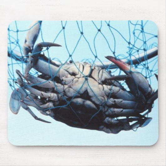 伝染性の青カニ マウスパッド (正面)