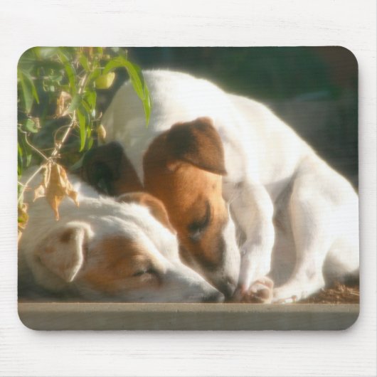 伝染性のzzzz マウスパッド (正面)