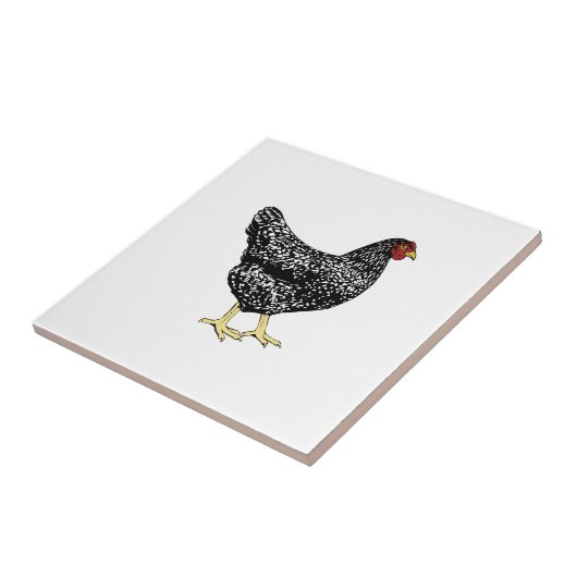 伝統の品種置く雌鶏-禁止されたプリマスロック タイル (側面)