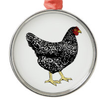 伝統の品種置く雌鶏-禁止されたプリマスロック