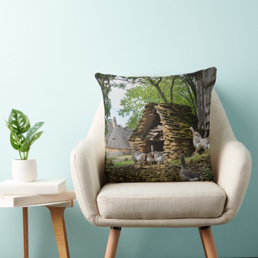 伝統的なフォアグラのガチョウの農場の装飾用クッション クッション (椅子)