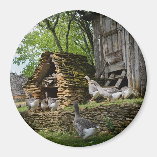 伝統的フォアグラのグースファームのラウンドマグネット マグネット (正面)