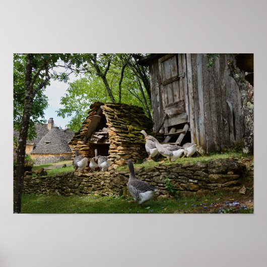 伝統的フォアグラのグースファームポスター ポスター (正面)