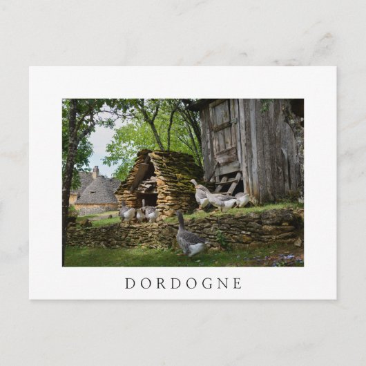 伝統的フォアグラのグースファーム白はがき ポストカード (正面)