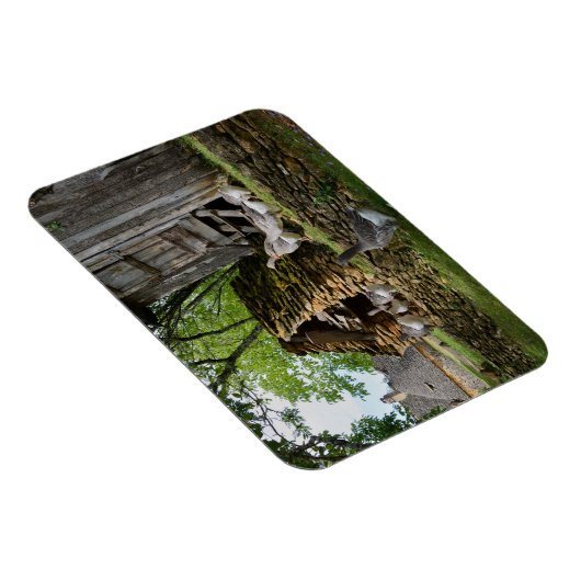 伝統的フォアグラのグースファーム長方形マグネット マグネット (右側)