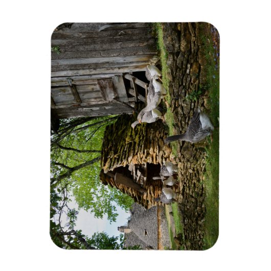 伝統的フォアグラのグースファーム長方形マグネット マグネット (縦)