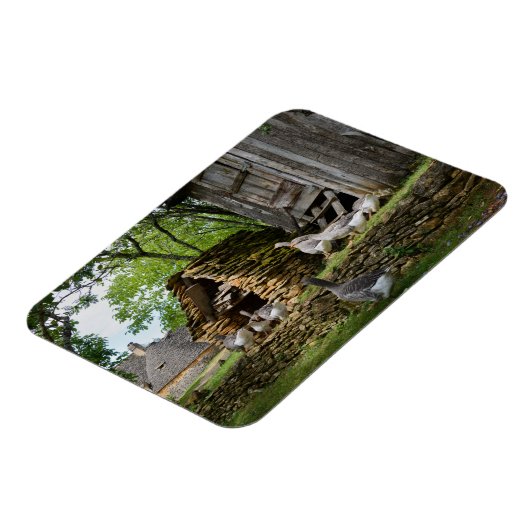 伝統的フォアグラのグースファーム長方形マグネット マグネット (左側)