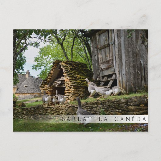 伝統的フォアグラスグースファームバーはがき ポストカード (正面)