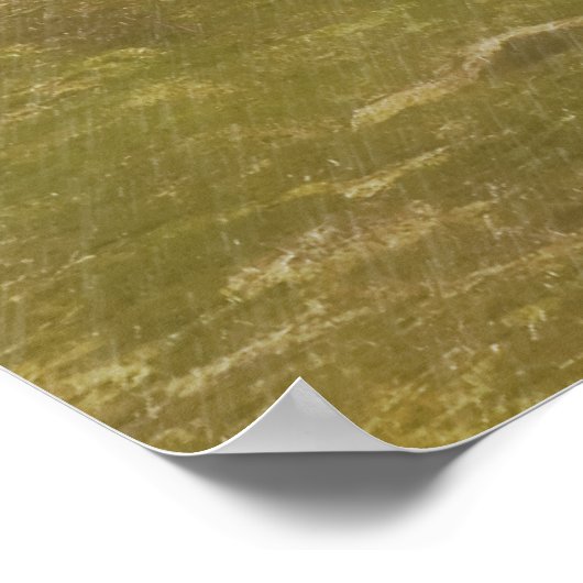 伝統誇りを持った納屋、雨の日にキルト ポスター (角)