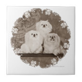 伝統 タイル (正面)