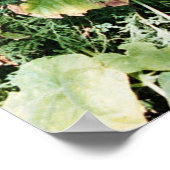 伝統 ポスター (角)