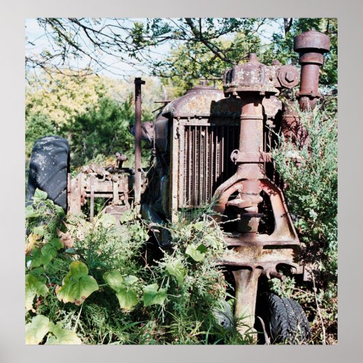 伝統 ポスター (正面)