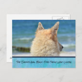 伝言付きペット感動的犬 ポストカード (正面/裏面)