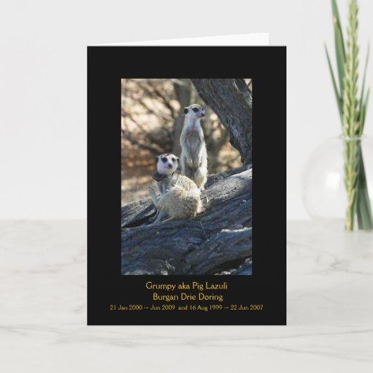 -伝説カード気難しく、Burgan カード (正面)