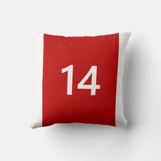 伝説上の14番赤と白入 クッション (裏面)