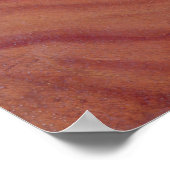 伯爵婦人Therese Brunswick ポスター (角)