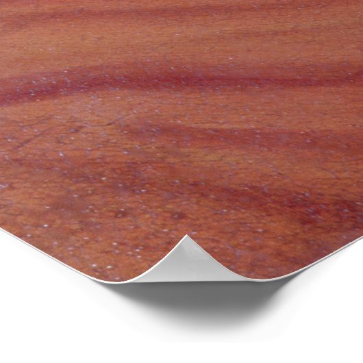 伯爵婦人Therese Brunswick ポスター (角)