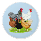 伴性の鶏が5羽 セラミックノブ (正面)