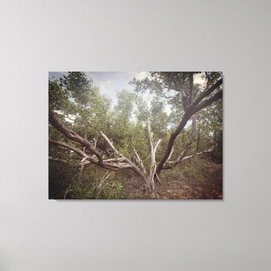 伸ばした腕 キャンバスプリント (正面)