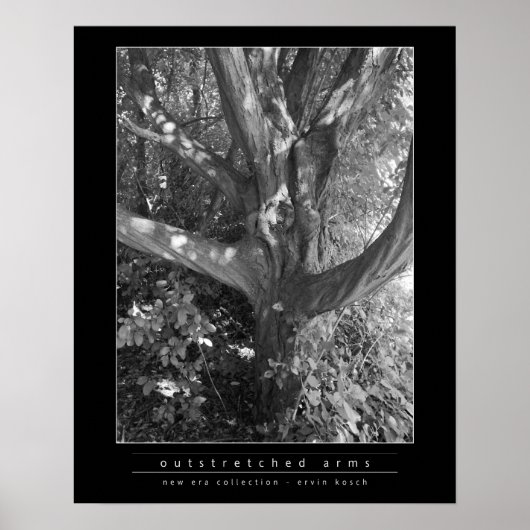伸ばした腕 ポスター (正面)