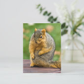 伸ばす ポストカード (スタンド正面)