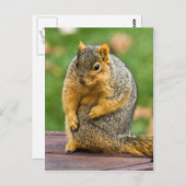 伸ばす ポストカード (正面/裏面)