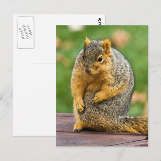 伸ばす ポストカード (正面/裏面)