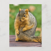 伸ばす ポストカード (正面)