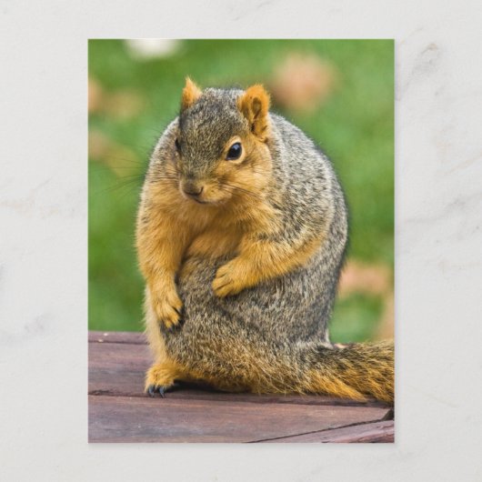 伸ばす ポストカード (正面)