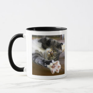 伸びている猫屋内 マグカップ