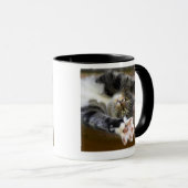 伸びている猫屋内 マグカップ (正面右)