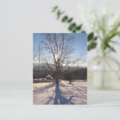 伸張樺の木 ポストカード (スタンド正面)