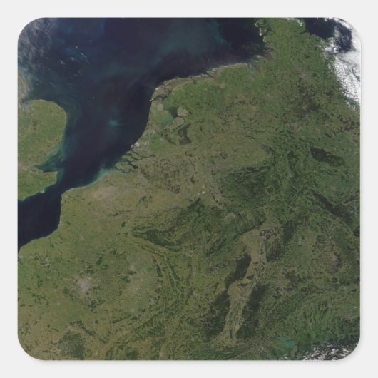 低い国 スクエアシール (正面)