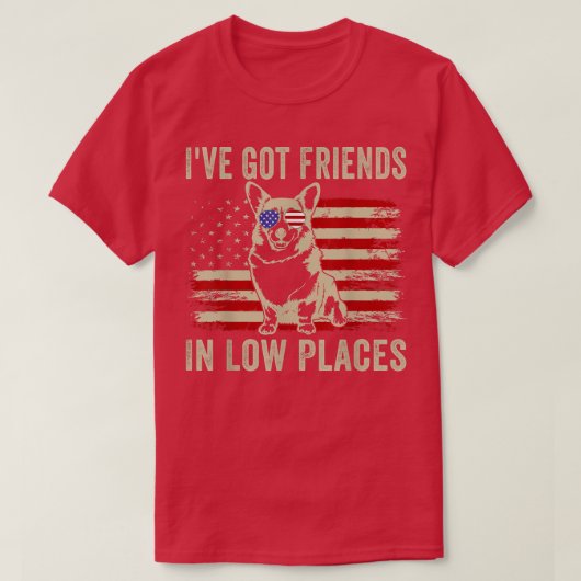 低い場所得にいるCorgi Ive Friendsがウェールズを壊した Tシャツ (デザイン正面)