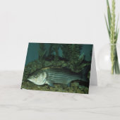 低ストライプの音 カード (正面)