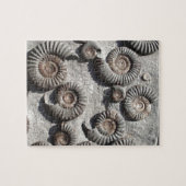 低リヤ数々のスのアンモニア化石 ジグソーパズル (横)