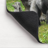 低地のsilverbackのゴリラの歩く マウスパッド (コーナー)