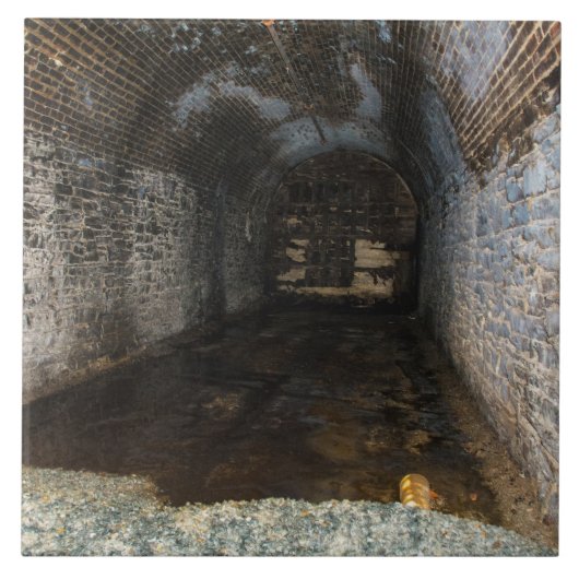 低床地下フォトタイル タイル (正面)