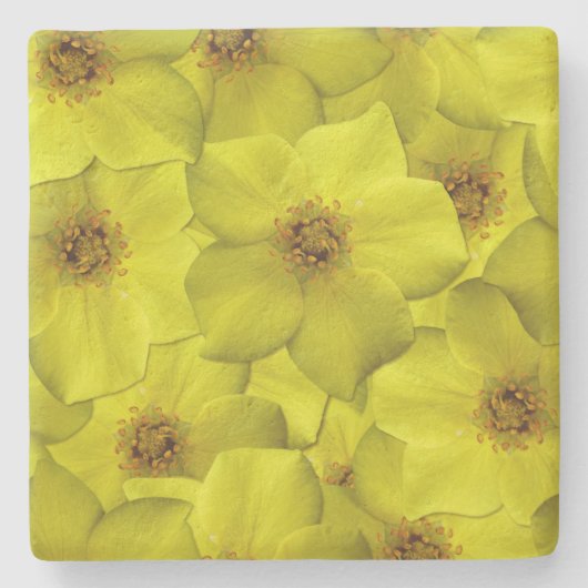 低木状のシニーフォイルのシームレスパターン ストーンコースター (正面)