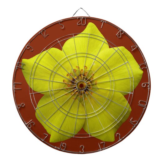 低木状チンコフォイル#1 ダーツボード (正面)