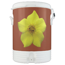 低木状チンコフォイル#1 ドリンククーラー