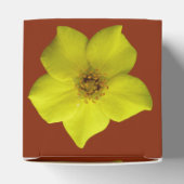 低木状チンコフォイル#1 フェイバーボックス (上部)