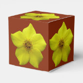 低木状チンコフォイル#1 フェイバーボックス (裏面サイド)