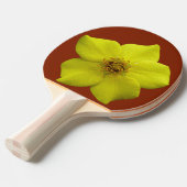 低木状チンコフォイル#1 卓球ラケット (正面アングル)