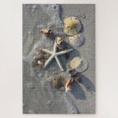 低潮時ビーチ財宝，フロリダ ジグソーパズル (縦)