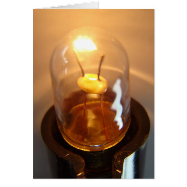 低白熱［赤熱］光を放つ電圧電球 (正面)