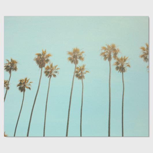 低角度写真ココナツの木 ラッピングペーパー (フラット)