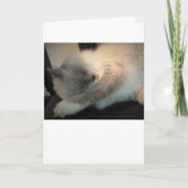 低速日、カード カード (正面)