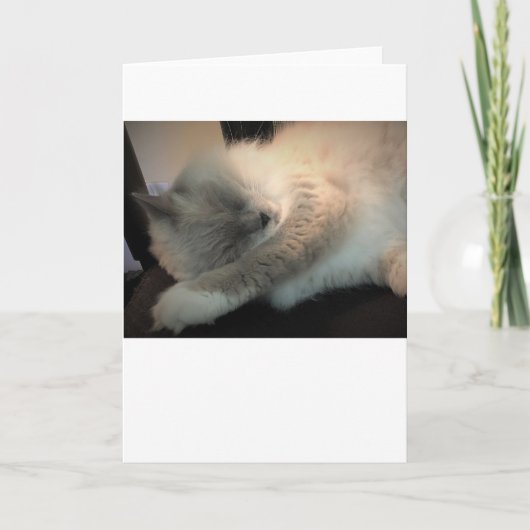 低速日、カード カード (正面)